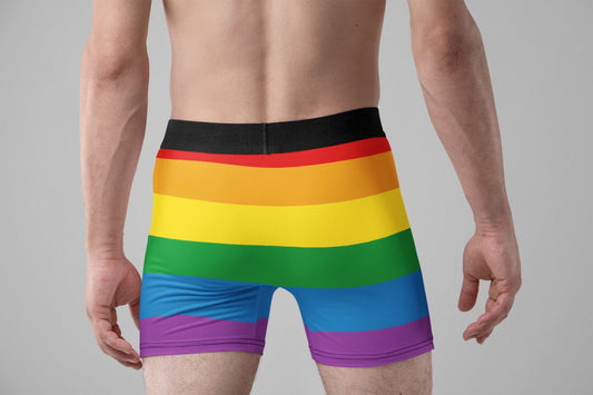 Rainbow flag Men's Briefs - PrideBooth