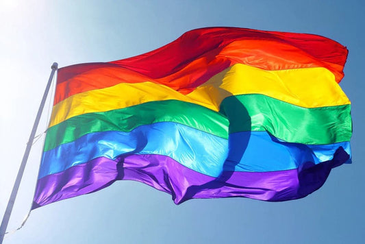 Rainbow Pride Flag 3x5 FT - PrideBooth