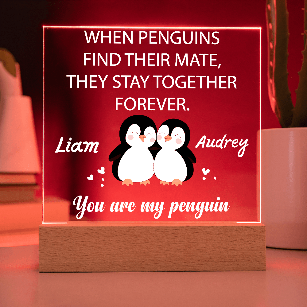 You are my Penguin - Custom Acrylic Plaque - PrideBooth