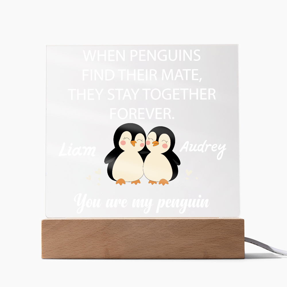 You are my Penguin - Custom Acrylic Plaque - PrideBooth