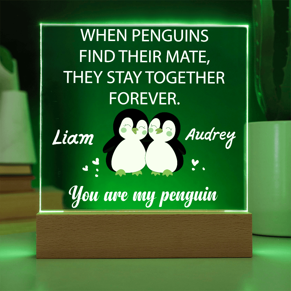 You are my Penguin - Custom Acrylic Plaque - PrideBooth