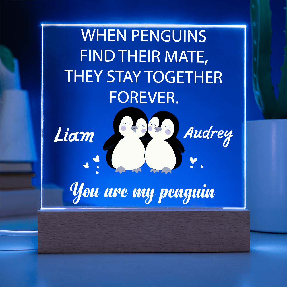 You are my Penguin - Custom Acrylic Plaque - PrideBooth